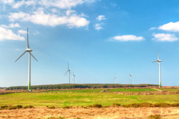 Wind turbines on green spring meadow
