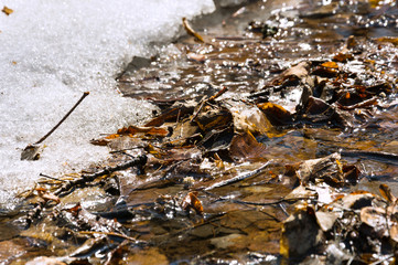 Early spring landscape of the snow in the forest. Melt water in a spring stream on a sunny day in the forest.