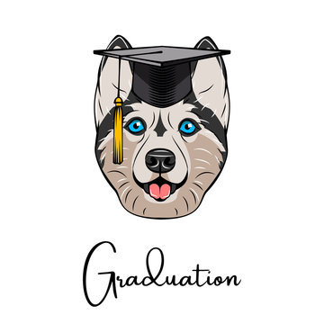 Siberian Husky Graduate. Graduation hat cap. Dog portrait. Vector.