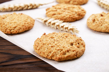 Healthy vegan integral cookies made of hazelnut powder on baking paper, dark brown wooden table background. Home made vegetarian gluten free snack w/ nuts. Decorative wheat spica. Close up, copy space