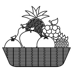 wicker basket full fruits healthy vector illustration outline