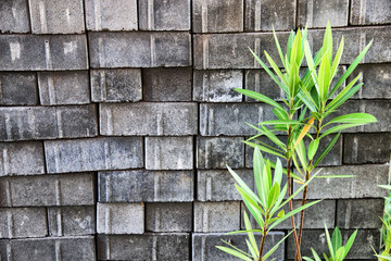 background wall of bricks