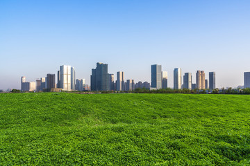 Fototapeta premium green lawn with modern building in park