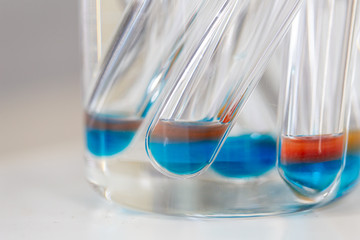 Analysis starch for study Chemical composition in laboratory.