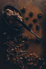 top view of gourmet chocolate pieces, knife, cocoa beans, powder and star anise on dark surface