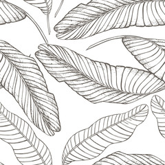 Jungle leaves seamless vector floral pattern background. Tropical palm leaves background. Vector illustration in trendy style.