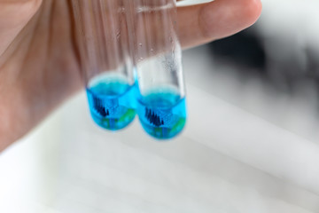 Analysis starch for study Chemical composition in laboratory.