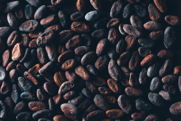 full frame view of delicious cocoa beans background