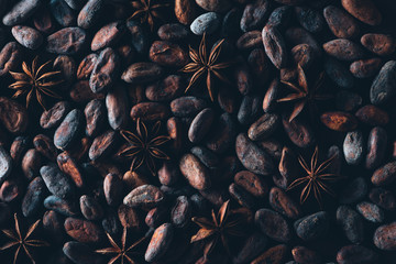 full frame view of delicious cocoa beans and star anise background