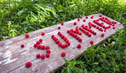 Ripe sweet raspberries in bowl on wooden table © rasskaz