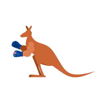 Kangaroo and boxing gloves. Australia boxer. Australian wallaby