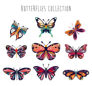 Butterflies collection with hand drawn elements isolated on white 