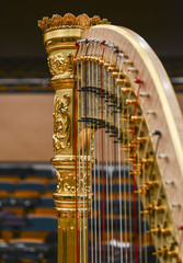 Beautiful golden harp