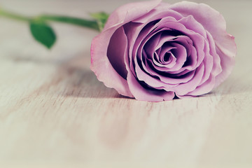 роза, с любовью