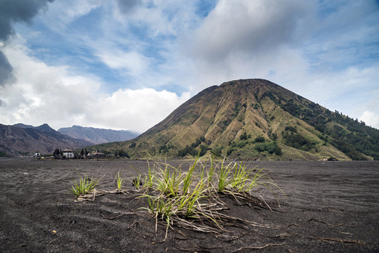 Mt Bromo, East Java, Indonesia