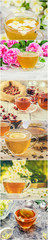 Fototapety  Collage of tea. Selective focus.  