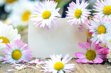 Obraz premium Romantik, Liebe, Sehnsucht, Glückwunsch, Platzkarte, Geschenk, Überraschung, Gutschein: Gänseblümchen auf weißem Holz mit Papierschild :)