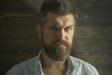Fashion and male beauty of graying man. Barber and hairdresser salon. Haircut of bearded man,...