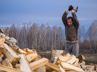 a grown man chopping birch wood harvests for heating the stove