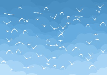 Sky with birds.