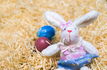 Concept of Easter, plush Easter bunny on straw background with d