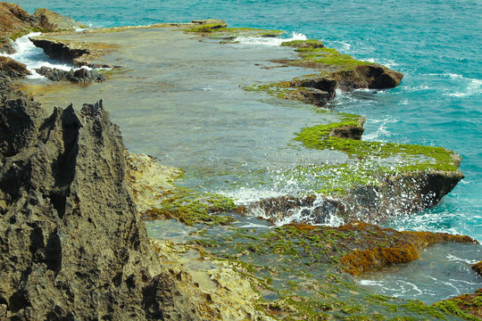 Coast