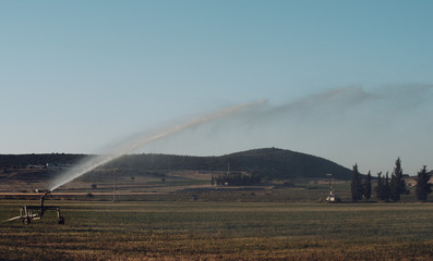 Water sprinkler installation in field with blue sky on background. Irrigation system in action on green field. Agriculture and technologies concept.