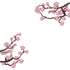 Obraz na płótnie Canvas VECTOR Sakura Frame, Blooming Branches Isolated on White Background, Blank Design Template, Cherry Flowers.