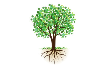 Obraz premium 根っこ付きの木