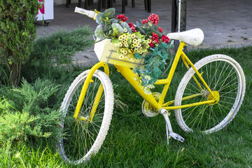 sarı bisiklet
