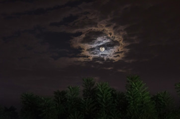 Naklejka premium moon 