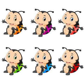 Ladybug with different facial expressions and different color