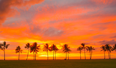 Fototapeta na wymiar Hawaii Sunset 3