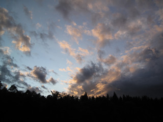 sunset sky over the forest