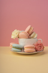 Multicolored macaroons cake are placed in a saucer and a cup along with buds of a carnation and roses on a yellow and pink background