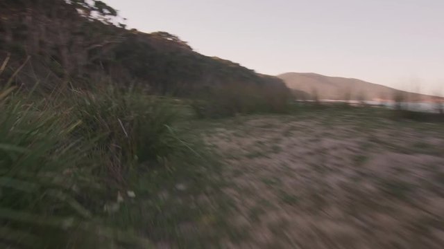 POV running with kangaroos