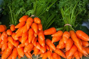 Fresh carrots bunch.
