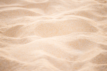Fototapeta na wymiar grain of sand and beach theme