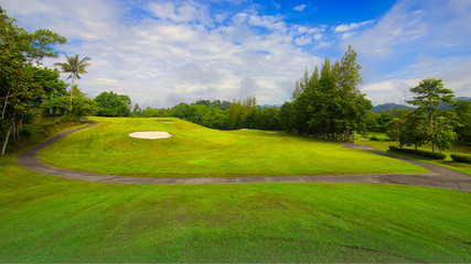 Green grass green trees in beautiful park white Cloud blue sky in noon.