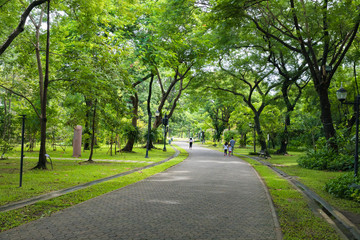 Fototapeta na wymiar Green park in city