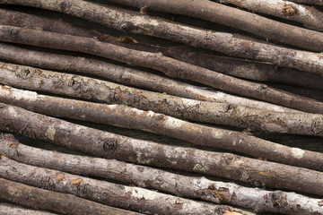 Rustic wood background - texture