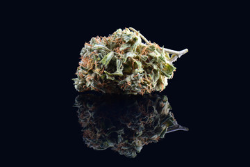 Medical marijuana bud isolated on black background. Therapeutic and medicinal cannabis weed close up