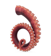 Octopus Tentacle Isolated