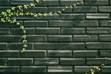 Obraz premium Brick wall vintage texture