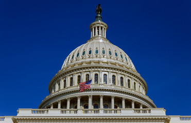 Fototapeta na wymiar Capitol Building scenic view, Washington DC, USA