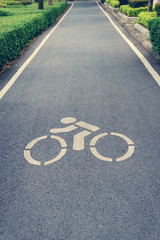 Obraz premium Bicycle lane symbol on the asphalt street in the park
