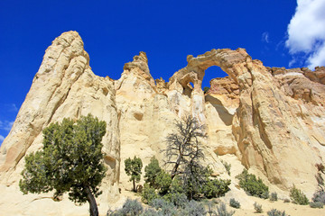 Fototapeta premium Grosvenor Arch double arch, Cottonwood Canyon Road in Grand Staircase Escalante National Monument, Utah, United States, USA