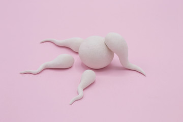 Handmade Polymer Clay Figure of Human Sperm Impregnate a Fertile Human Egg