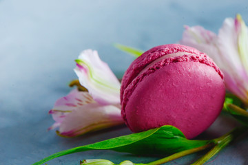 Pink macaroon close-up. Romantic French dessert decorated with pink and white alstroemeria flowers on stone background with copy space.