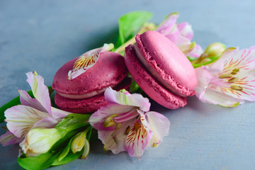 Pink macaroon close-up with spring flowers and buds. French dessert on a blue stone background with copy space.